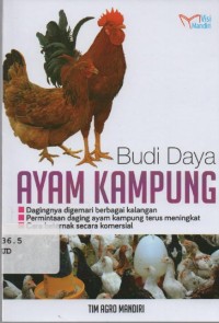 Image of Budi Daya Ayam Kampung